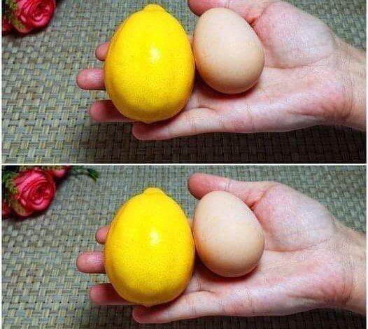 Unlocking Radiance and Rejuvenation: A Simple Yet Powerful Beauty Elixir FB_IMG_1718757766682-526×470-1