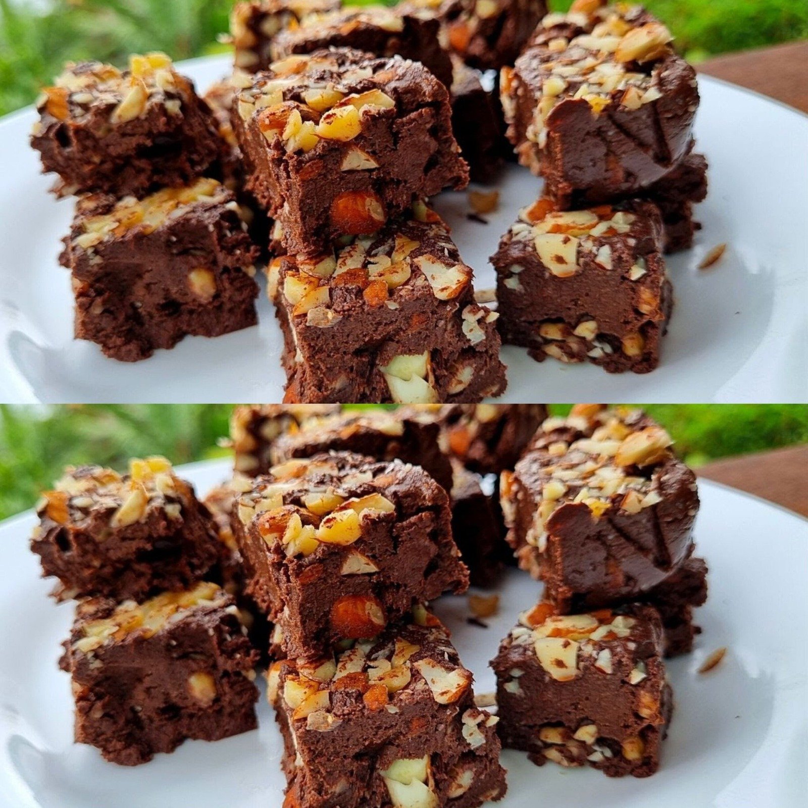 458180284_535501765509346_1545716354287868693_n