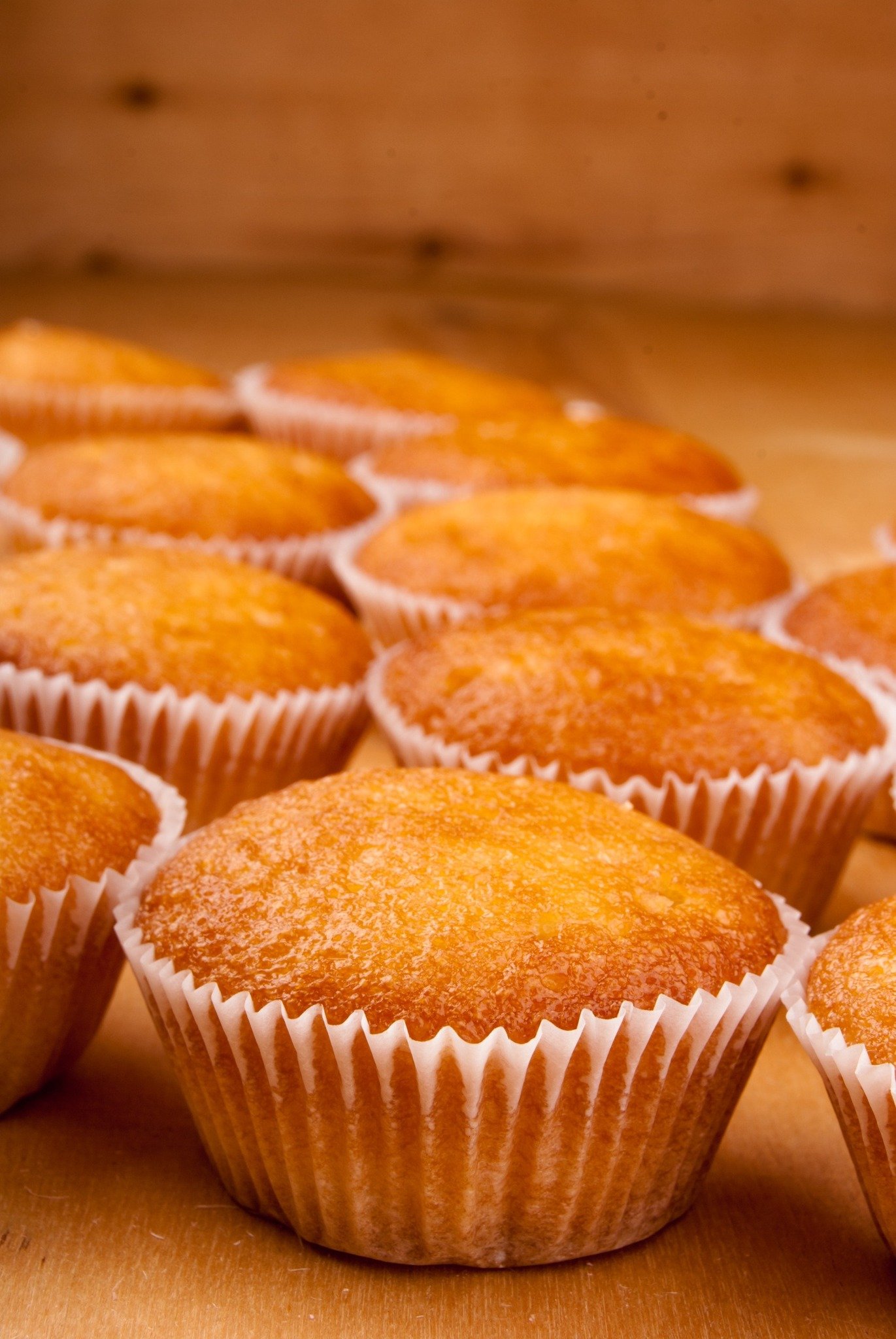 Magdalenas Caseras Muy Esponjosas 458702133_1064674251691973_8715609228136857059_n