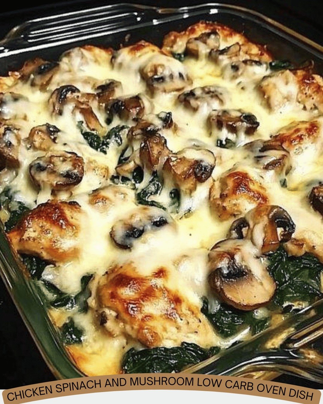 466086717_122133219710458280_2063395418778526346_n