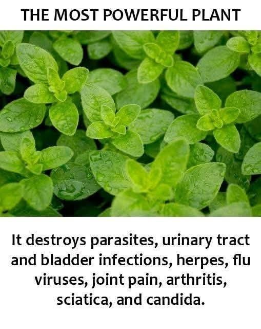 FB_IMG_1761584249253