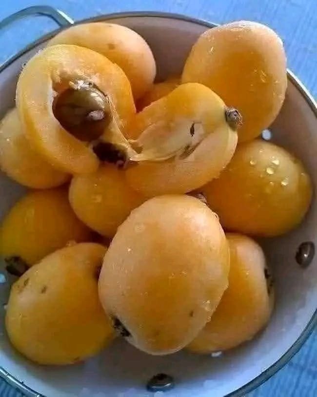 Ive Spent My Whole Life IMG-20251226-WA0011