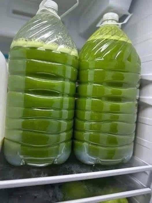 Fresh & Energizing 679626792_122240566862152737_8443470968710624792_n