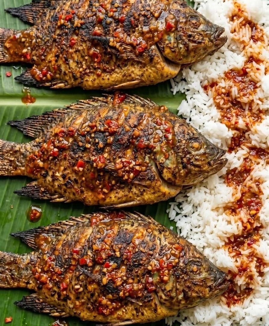 Spicy Garlic Grilled Fish with Rice WhatsApp Image 2026-04-27 at 18.24.30